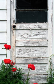 Click To Enter JennyWren's Place